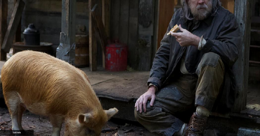 En este momento estás viendo En «Pig» de Nicolas Cage, ¿cuánto vale el cerdo trufado de todos modos?
